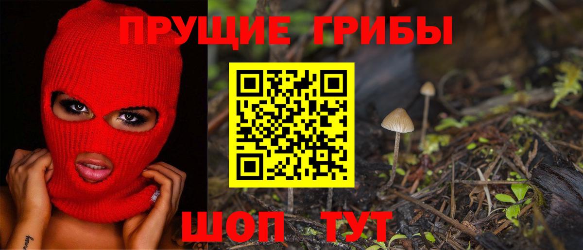 Галлюциногенные грибы Cubensis  Вход с VPN  Дюртюли 